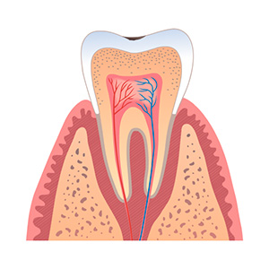 Durable Resin Composite Dental Fillings - Chadstone Dental Surgery